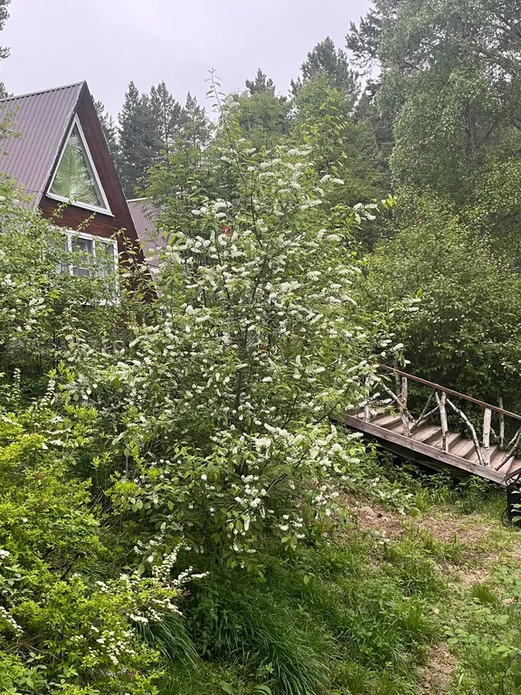 Дом 1 А-фрейм