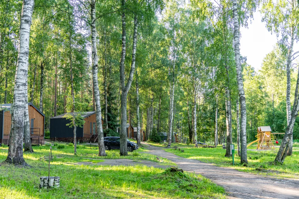 Домик с видом на лес