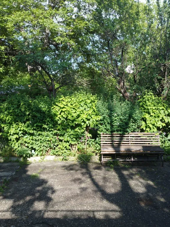 Уютная квартира в пяти минутах ходьбы от парка