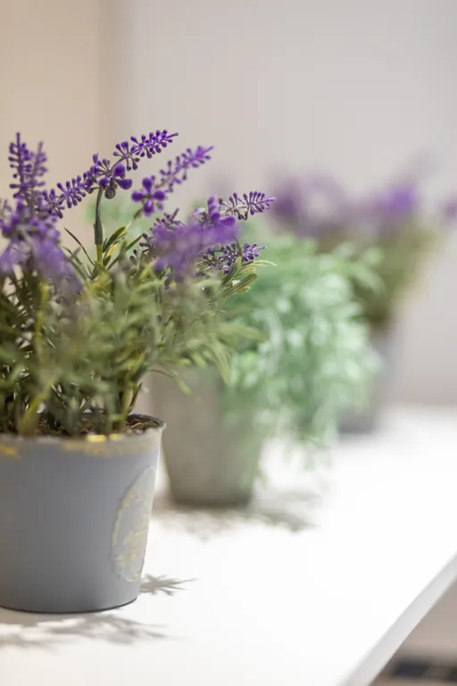 Квартира Fresh world apartments квартира с видом на парк в центре города — Калининград