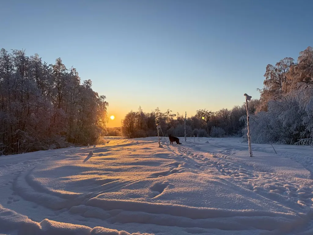 Дом Лес Маттила