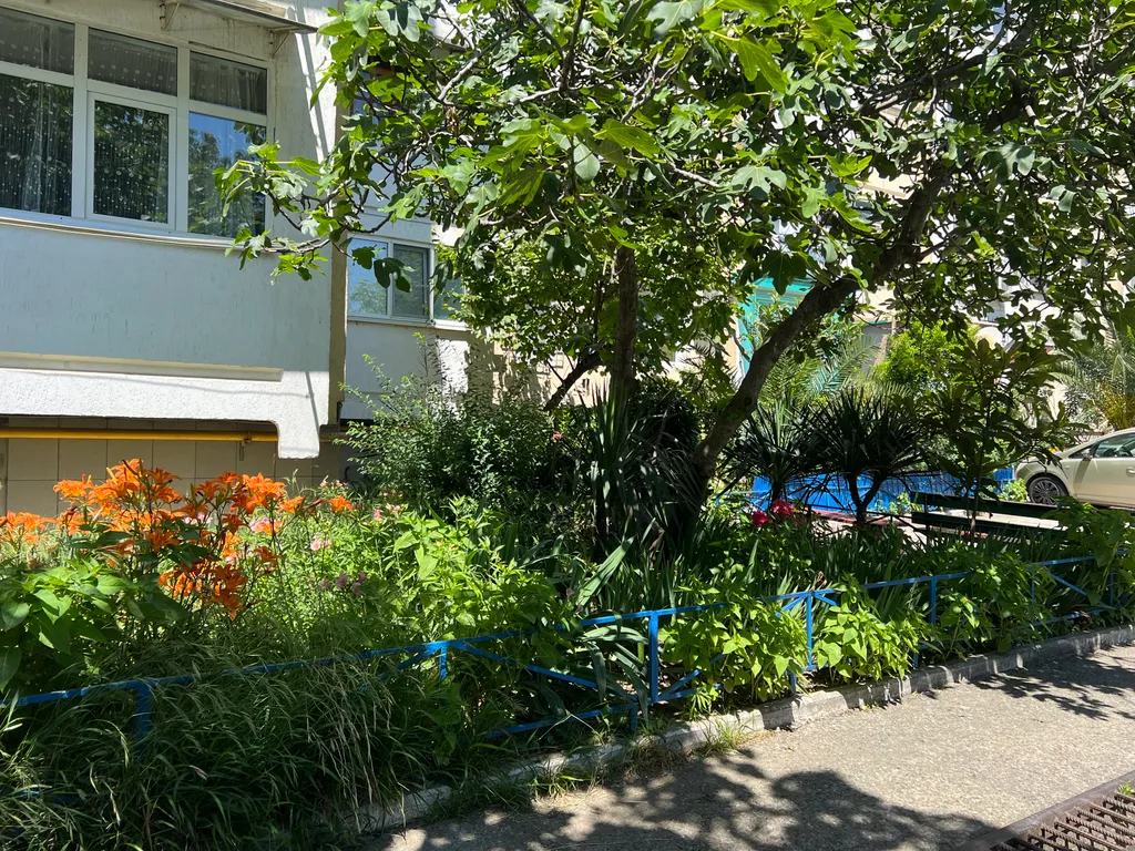 Уютная  квартира