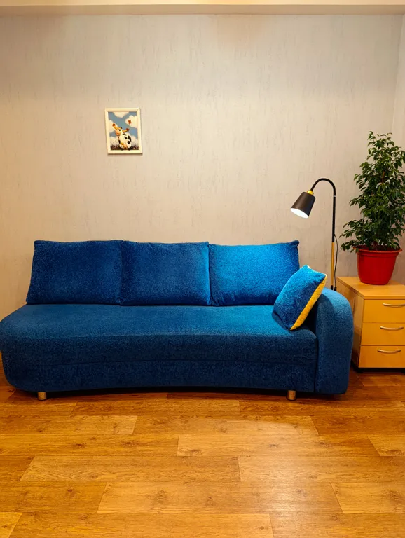 Квартира с видом на мост Дружбы