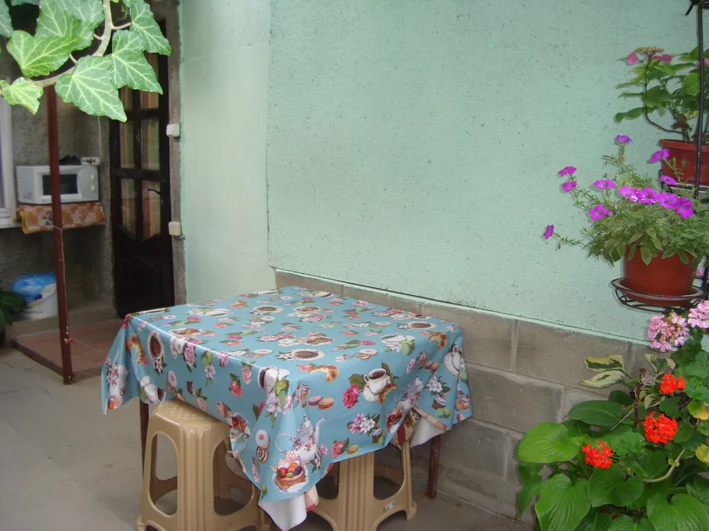 Аисты с видом на море