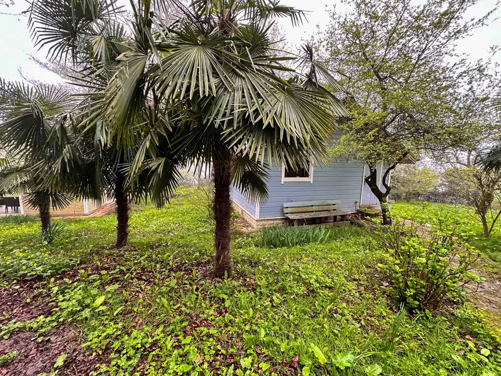 Дом в горах 38 соток