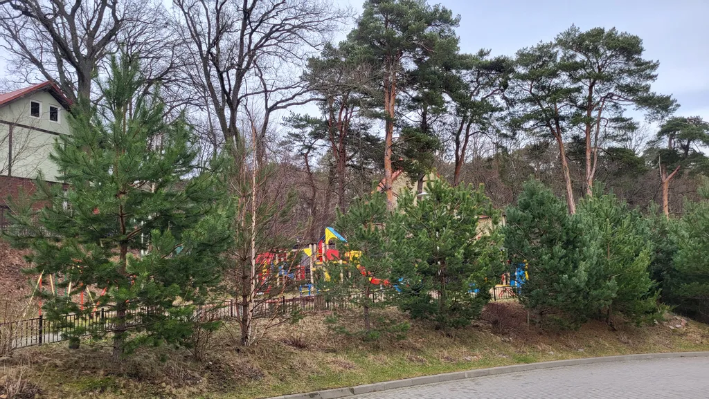 Квартира Квартира Апартамент у Балтийского моря — Светлогорск