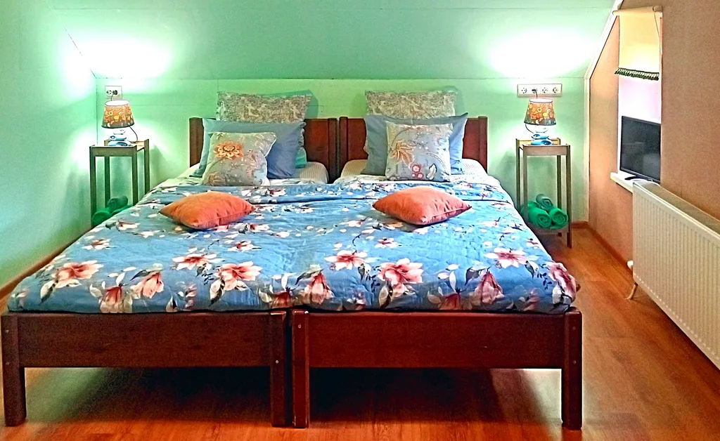 Квартира На берегу озера с лебедями, в центре, с камином и антресольным этажом — аренда посуточно в Себеж