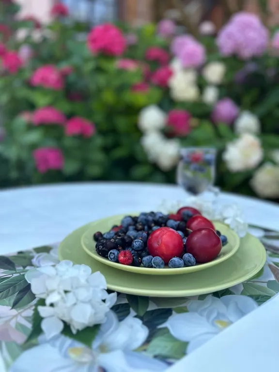 Квартира Комната — Лазаревское