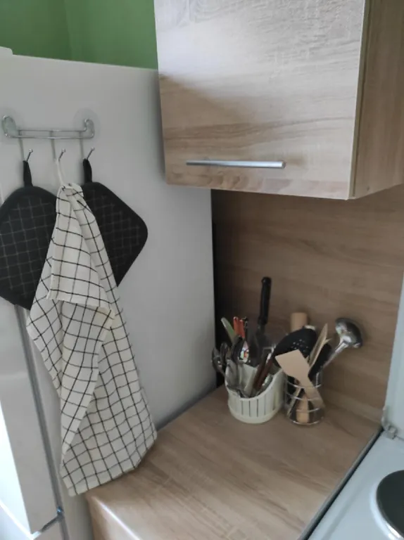 Квартира 1-комнатная Квартира — Песочный