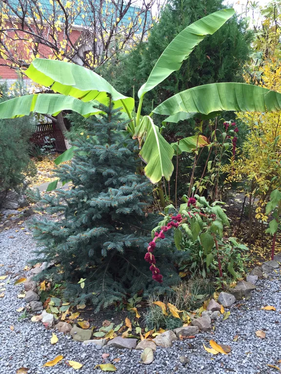 Коттедж в саду