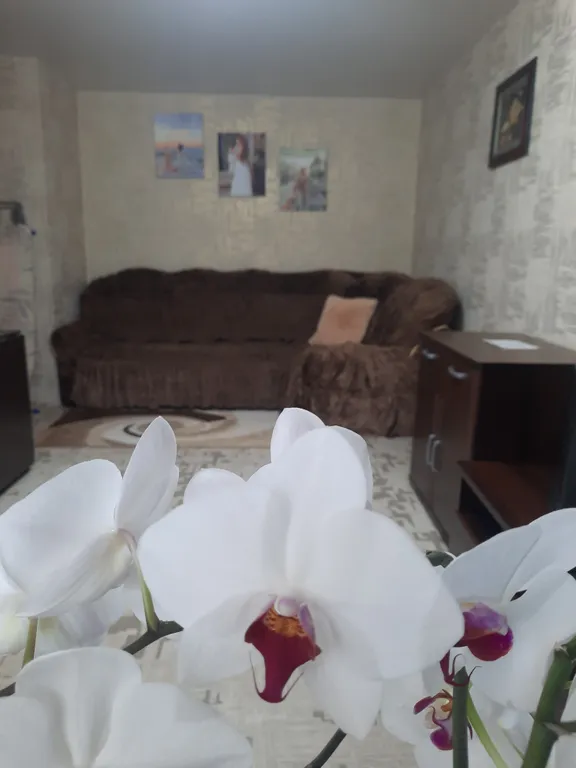 Уютная однокомнатная квартира в центре города — аренда посуточно в Белорецк