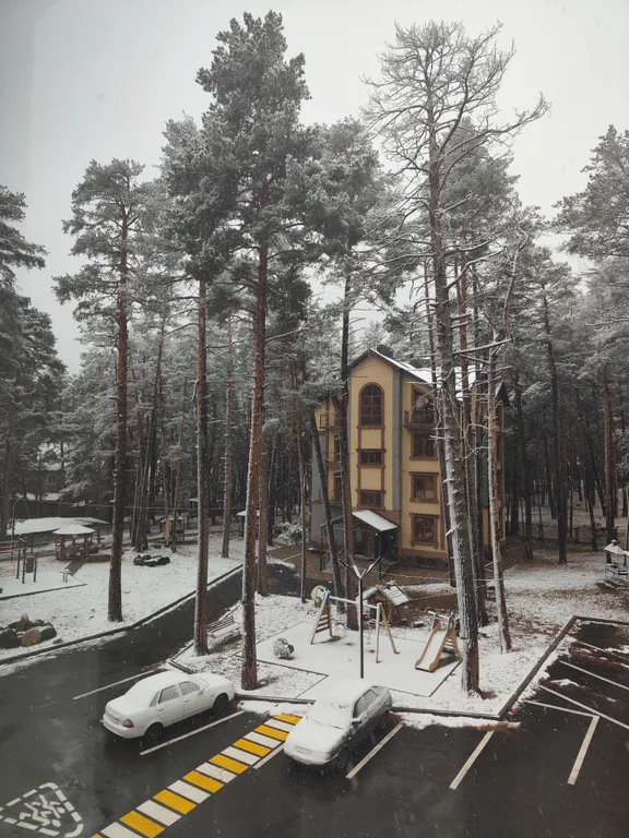 Уютная квартира в сосновом лесу в сердце гор