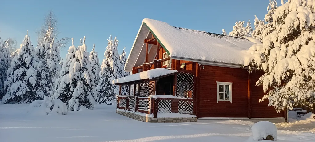 Утро в сосновом бору у озера