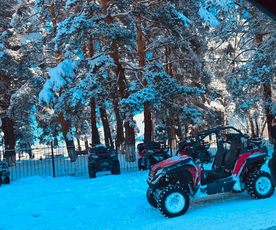 Квартира с видом на горы