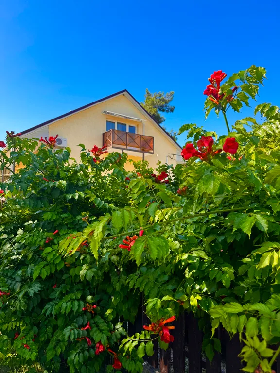 Райская мансарда с балконом на море: простор, комфорт и уют