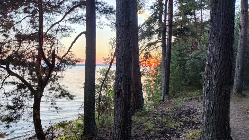 Коттедж Дом у озера с баней, чаном и детской площадкой с батутом. — Ланино