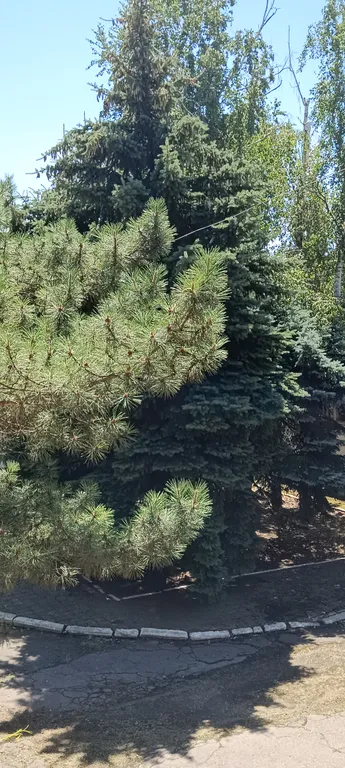 Чистая уютная небольшая студия в центре города