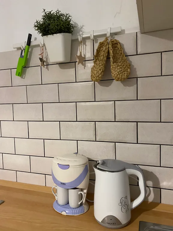 Апартамент с видом на парк 950-летия