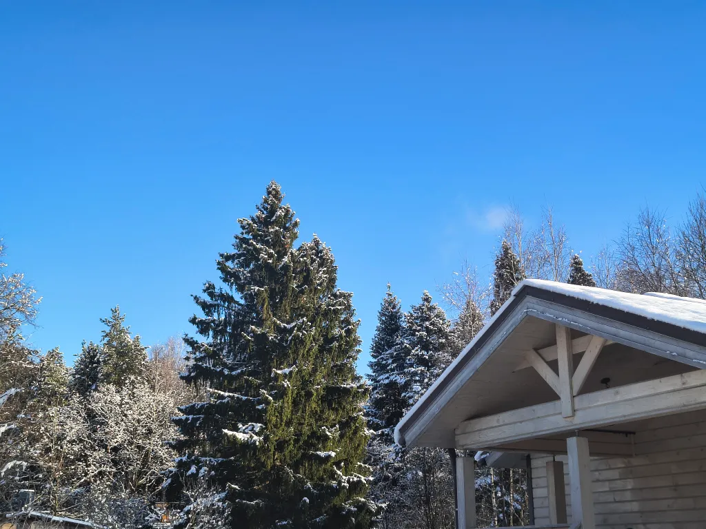 Русская усадьба с баней со швейцарским флёром