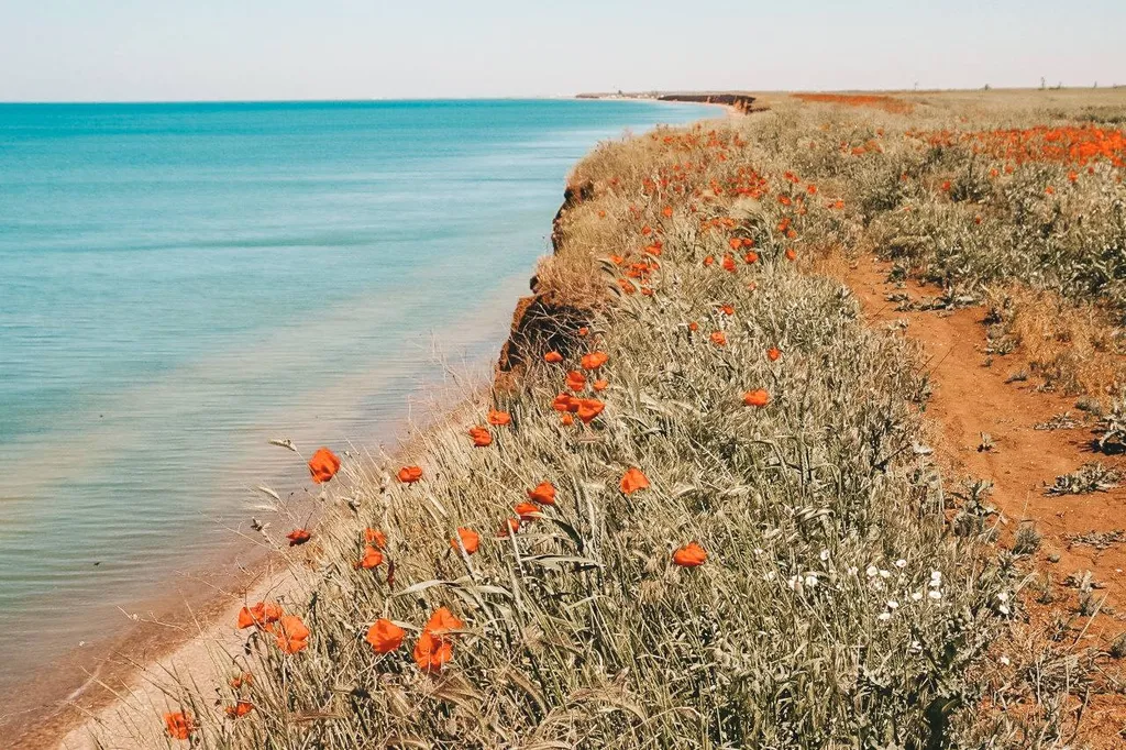 Апартаменты у самого моря