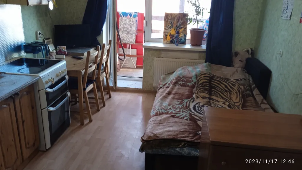 Комната в квартире, с хозяевами