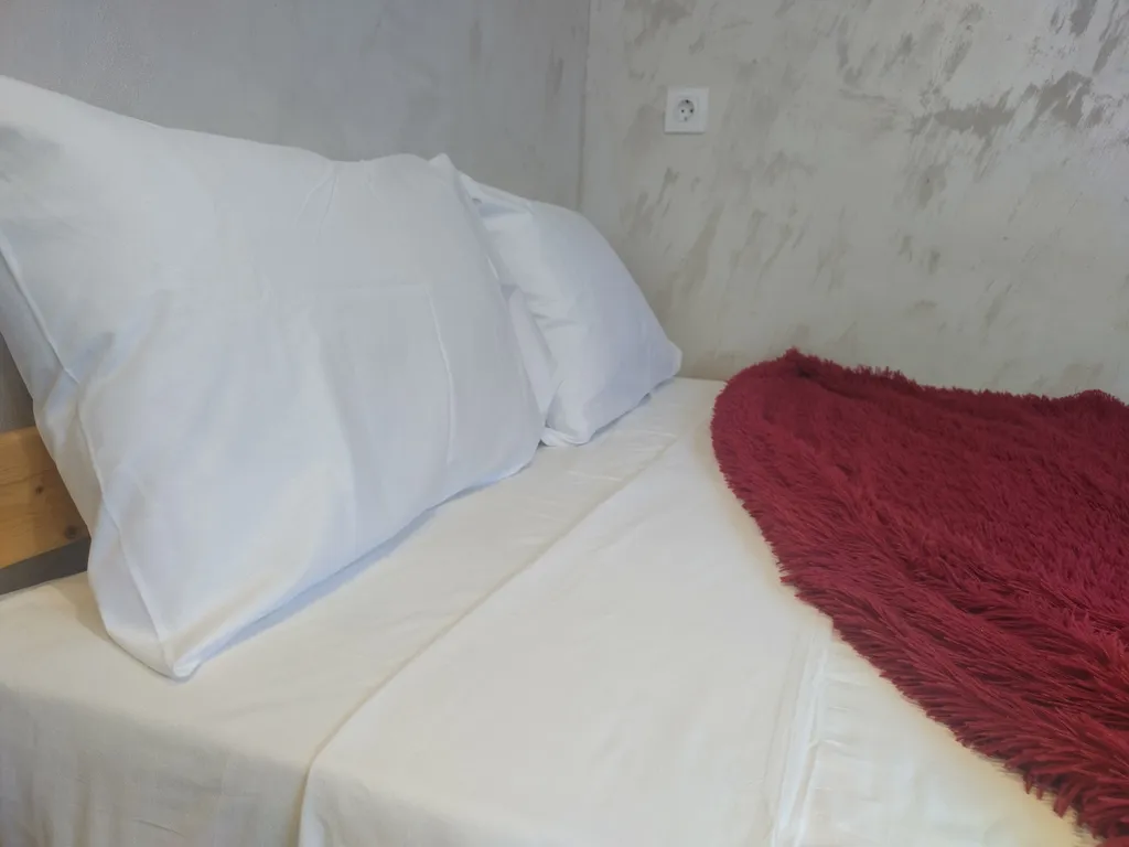 Уникальная Loft квартира в центре с экспонатами 19-20 века