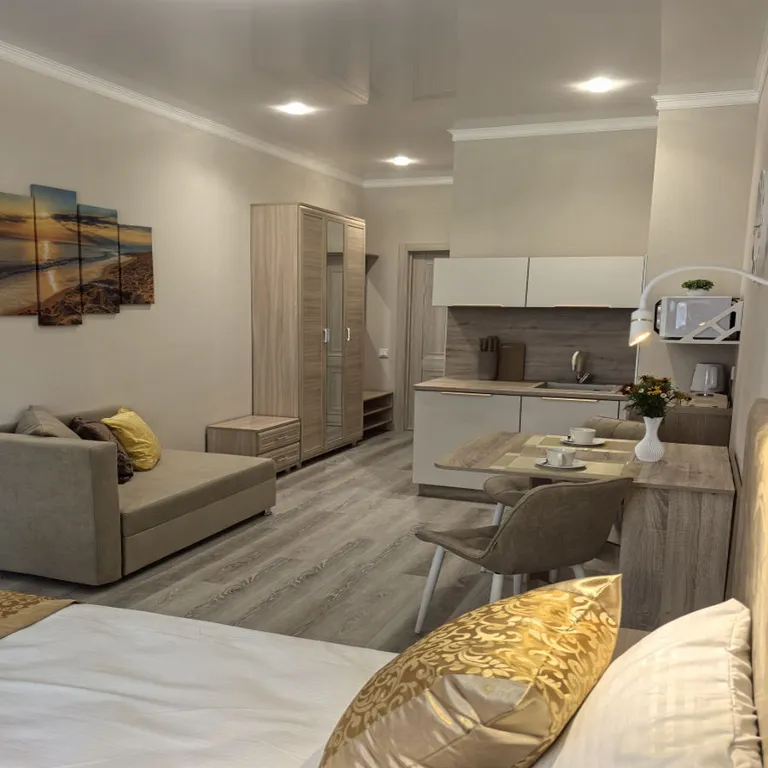 Квартира студия 2 в центре