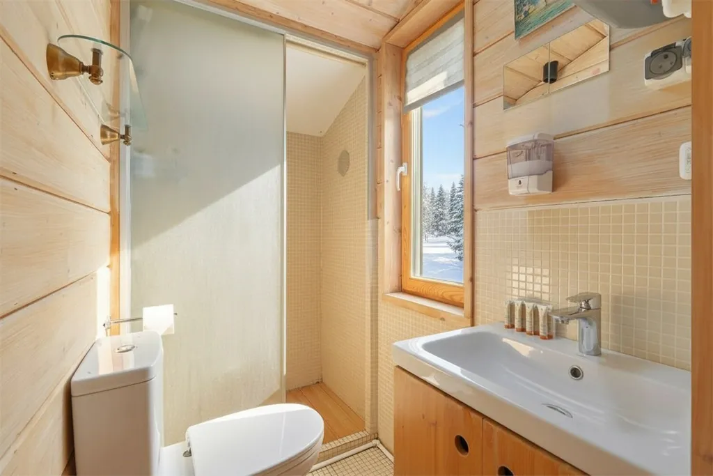 Дубльдом на Оке № 81