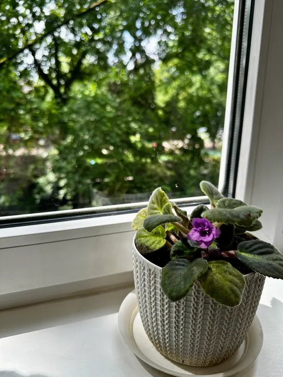 Квартира Уютная квартира 1812 — Калининград