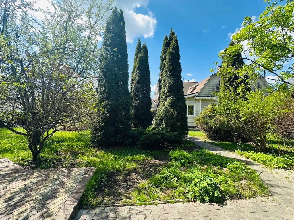 Дом с бассейном у леса