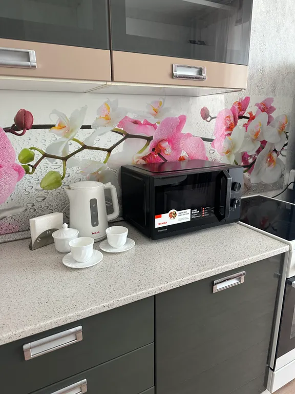 Уютная квартира с отличным видом на Иртыш