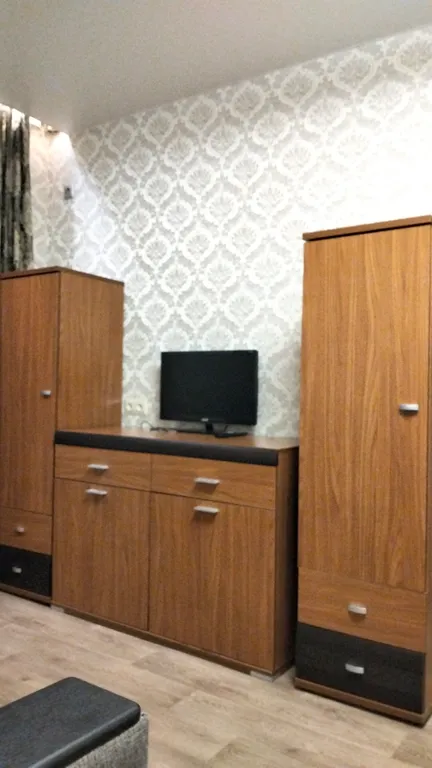 Чистая и уютная квартира в центре, площадь Революции, ТРК Урал