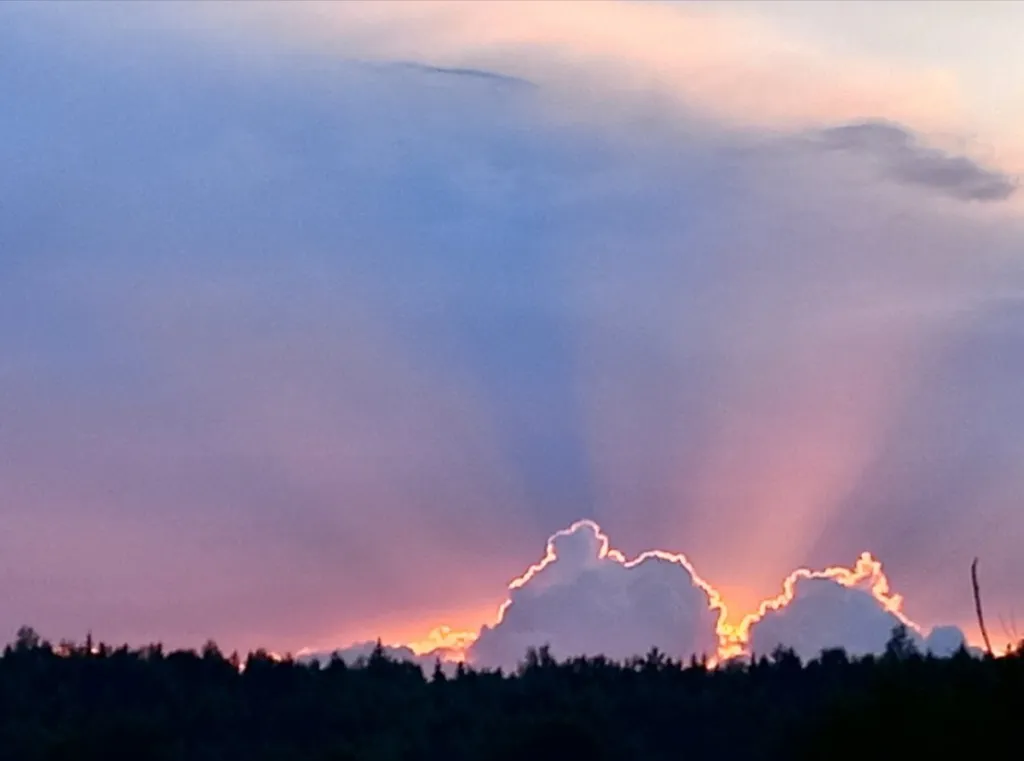 Коттедж Дом на берегу реки, в окружении леса с баней и чаном — Старово