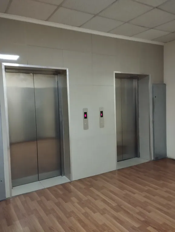 Студия возле цирка и дендрария