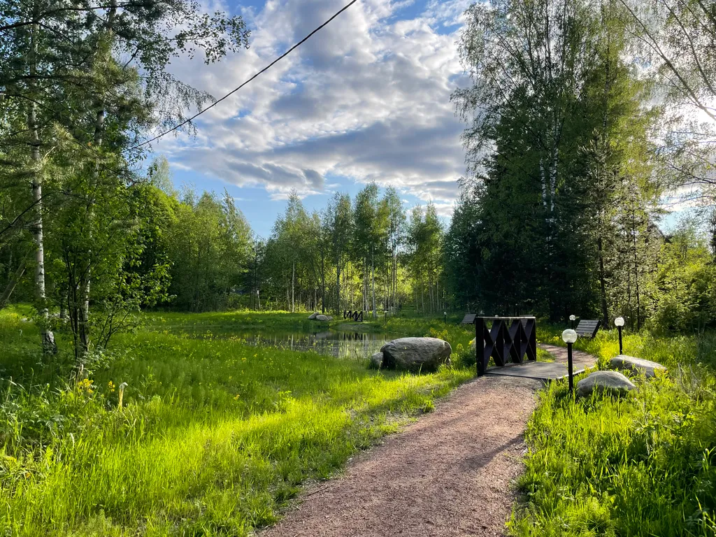 Дом Лесная гавань