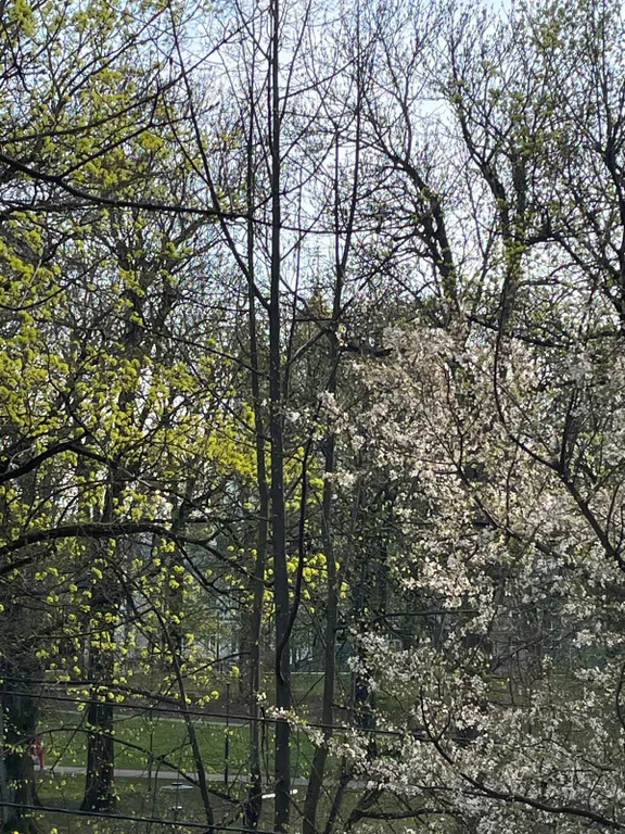 Квартира Уютная квартира в самом центре города,с видом на храм Христа Спасителя — Калининград