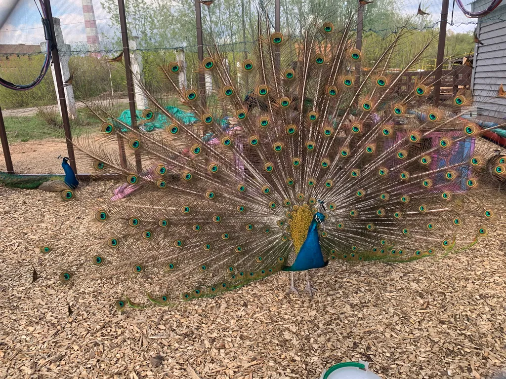 Коттедж Уютный теплый дом с русской баней на дровах — Венюково