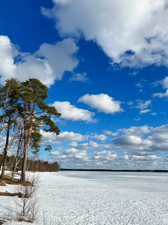 Квартира Семейный апартамент с 2 спальнями и кухней-гостиной — Мичуринское