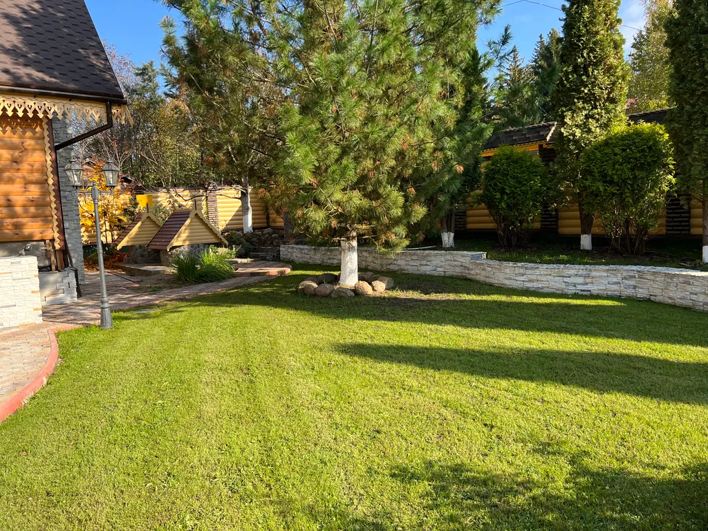 Терем в лесу