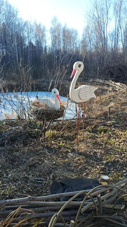 Дворик леса