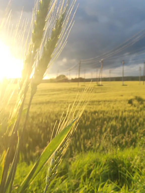 Дом Зимняя Вишня