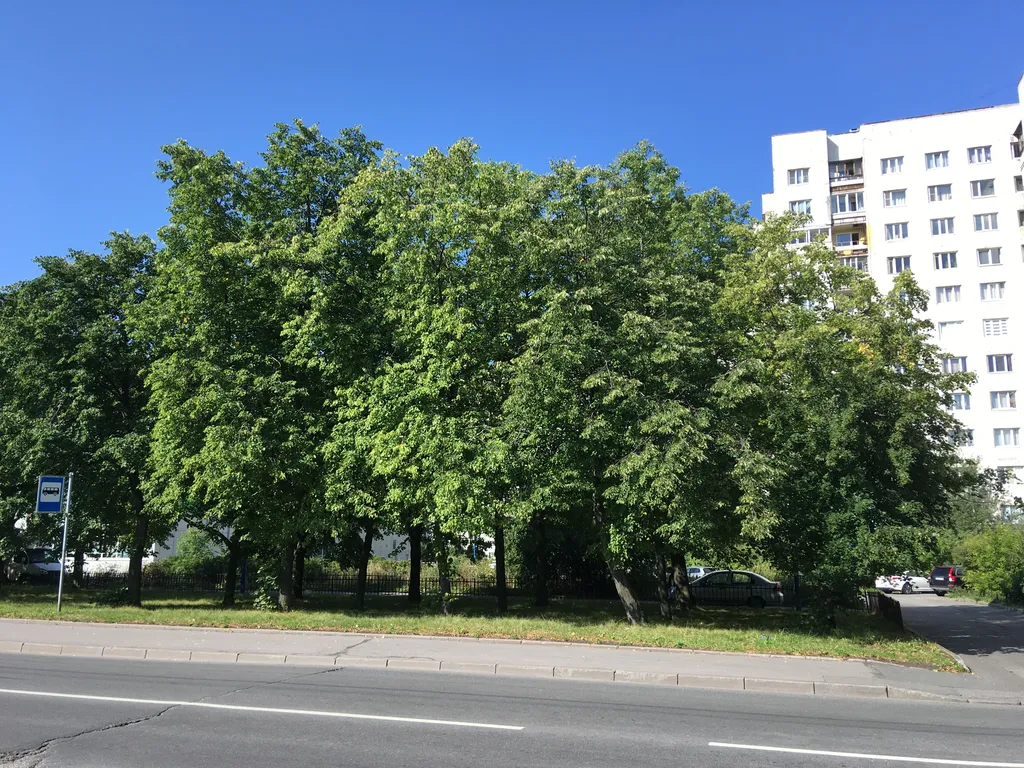 Квартира Светлые апартаменты — Санкт-Петербург