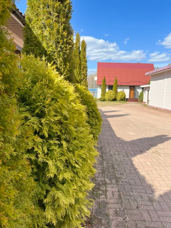 Дом на Рыбинском водохранилище