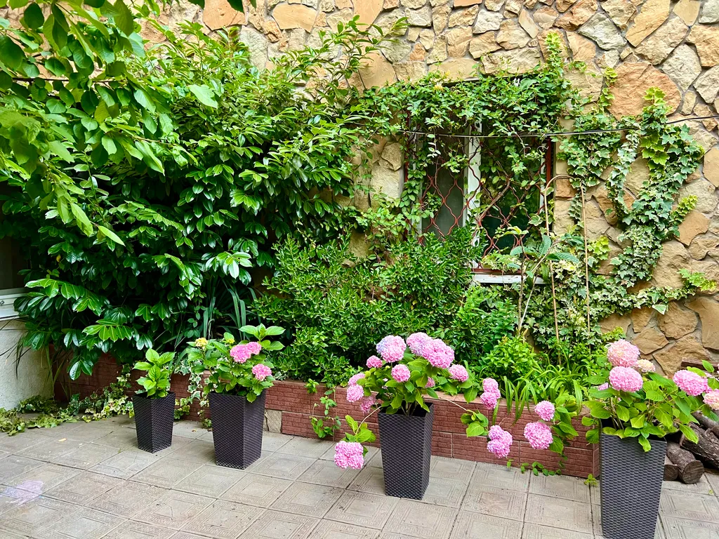 Квартира Дизайнерская квартира с бассейном в центре Анапы — Анапа