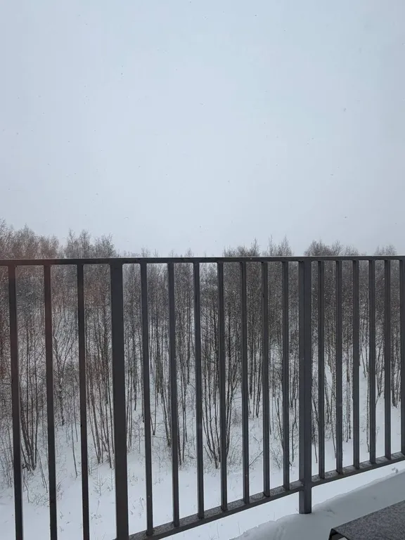 Новая, уютная и светлая квартира