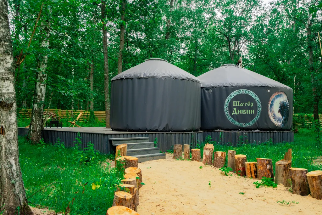 Юрта в лесу