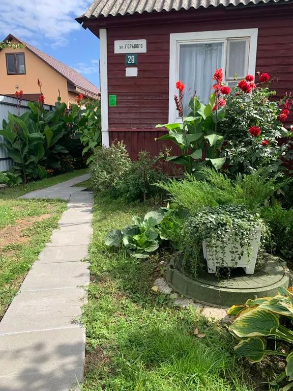 Коттедж Дом в тихом районе — аренда посуточно в Кобрин