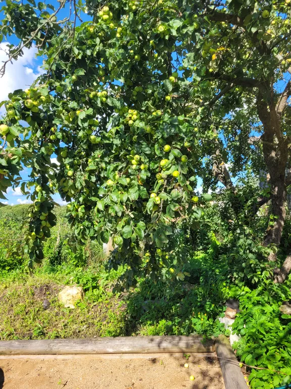 Атмосферный дом в старинном Торжке