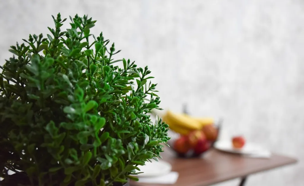 Удачная студия на Жарокова