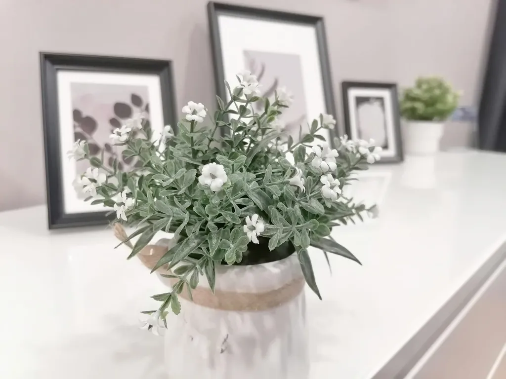 У нас как дома